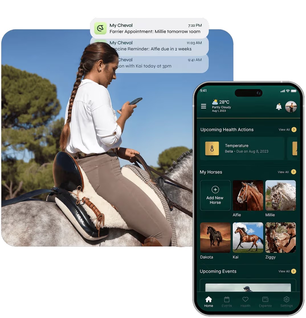 iOS APP Development